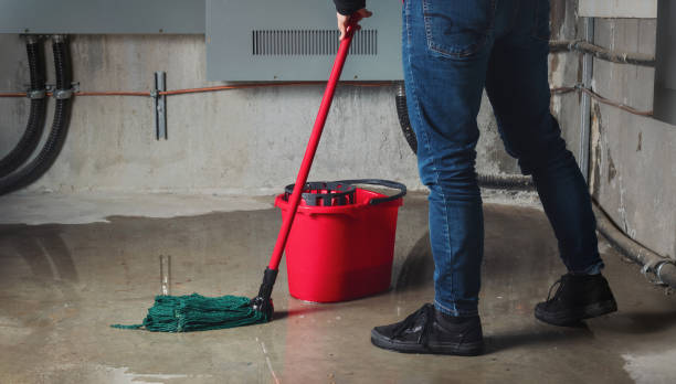 Best Sewage cleanup and water damage restoration  in Petersburg, AK