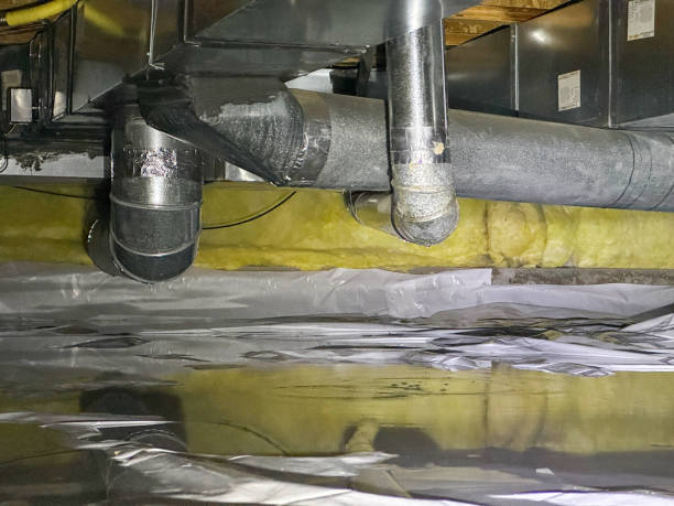 Best Professional water damage repair  in Petersburg, AK