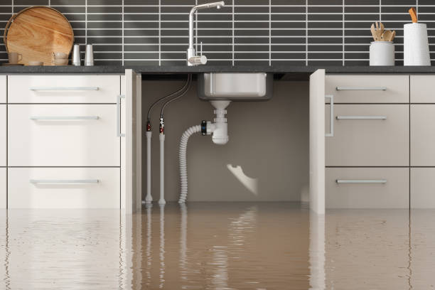 Best Water damage contractors near me  in Petersburg, AK